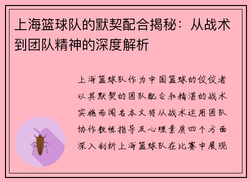 上海篮球队的默契配合揭秘：从战术到团队精神的深度解析